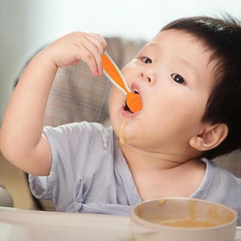 ABGG-Juego de cucharas de auto - Baby Food For 6 Months reseña y precio